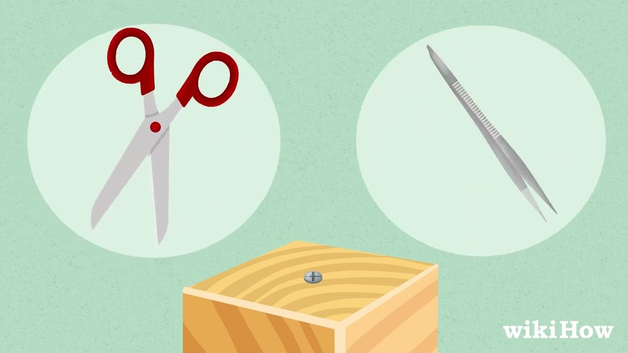 How To Unscrew A Screw Without A Screwdriver